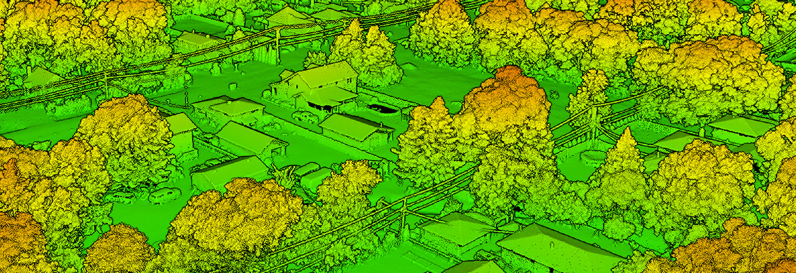Classified point cloud showing vegetation and ground returns