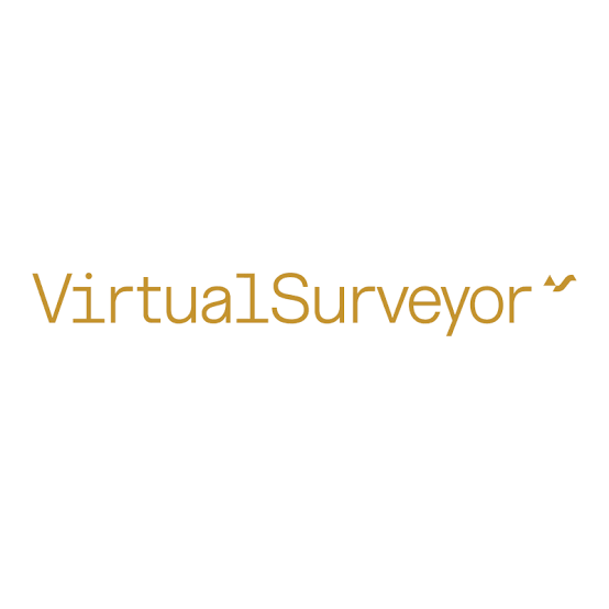 Virtual Surveyor logo